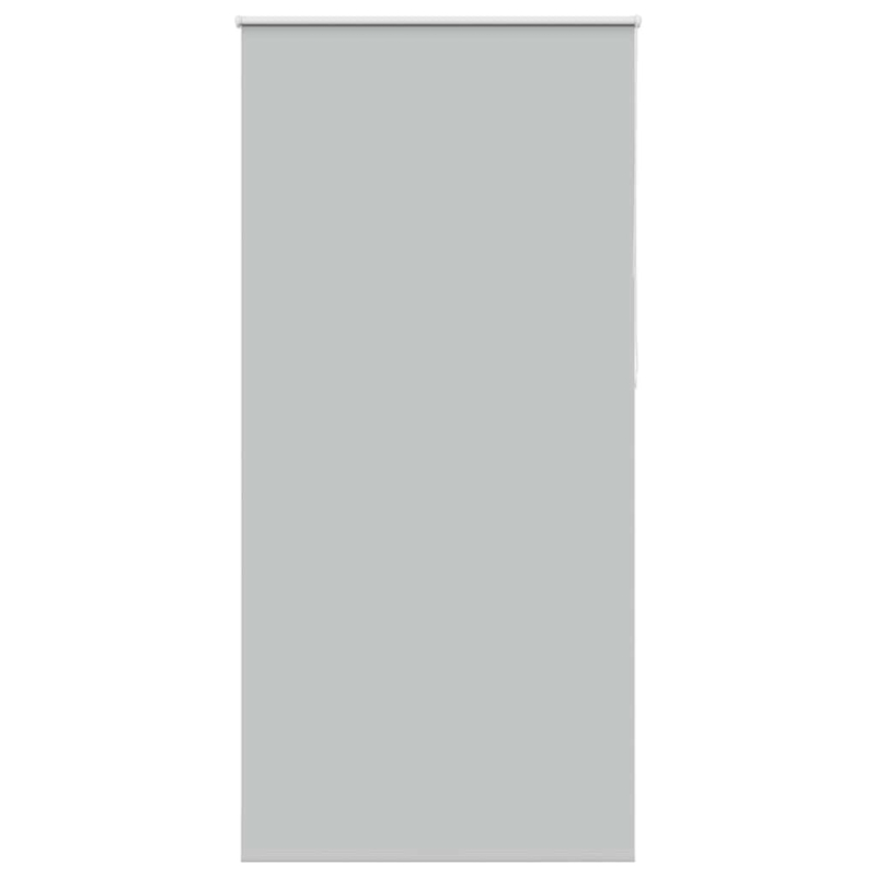 Verdunkelungsrollo Hellgrau 100x230 cm Stoffbreite 95,7cm