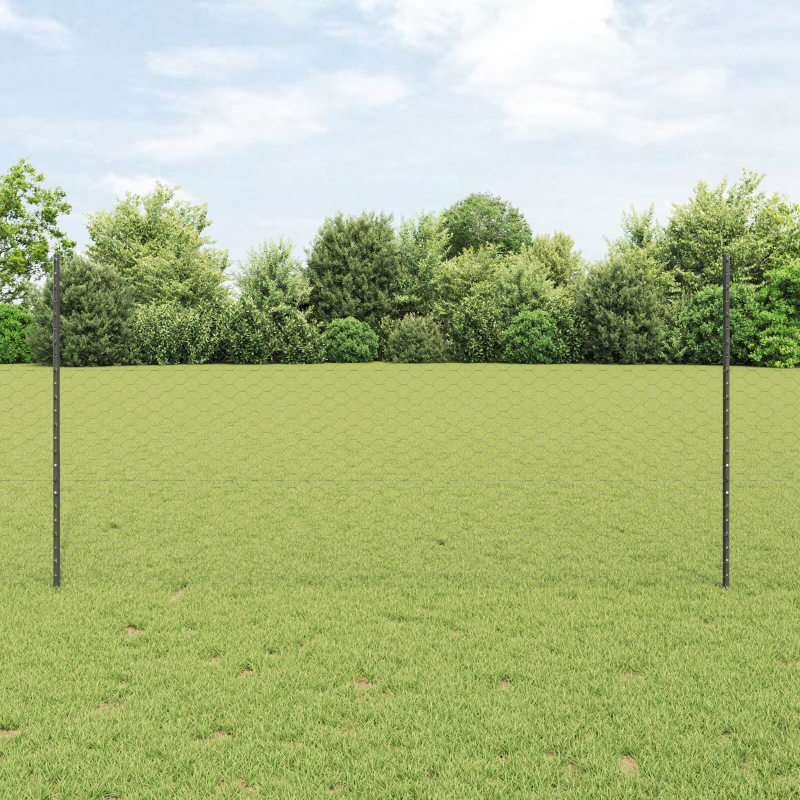 Gartenzaun-Set Set aus 2 Grau Metall Groß Robust Gartenzaun